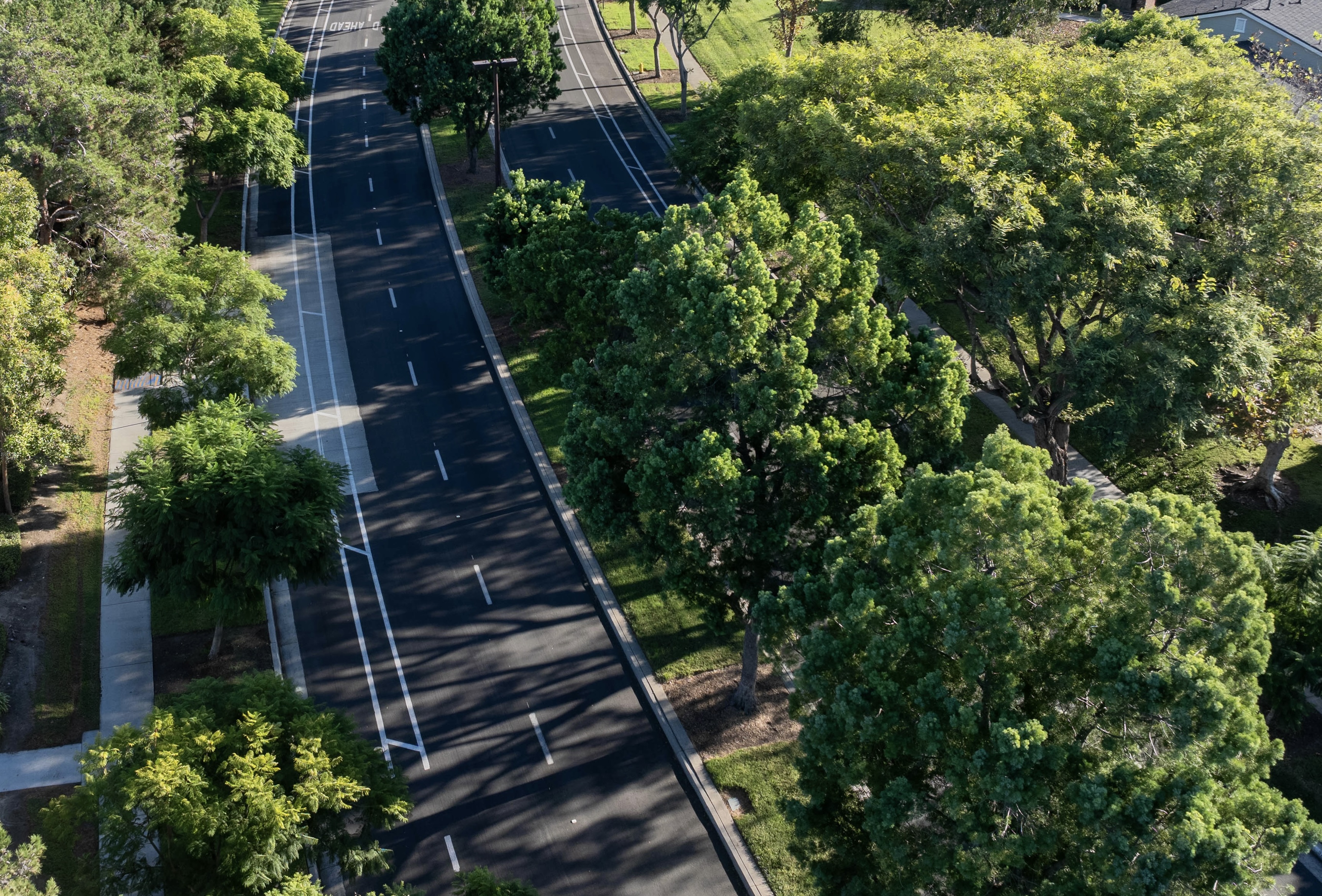 Aerial view of an empty road lined with lush green trees and sidewalks on a sunny day.
