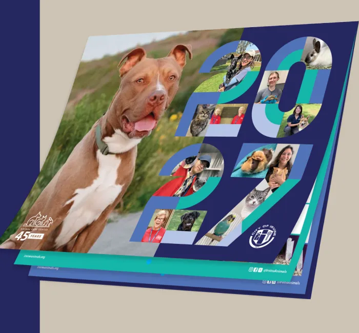 2027 photo fundraiser 