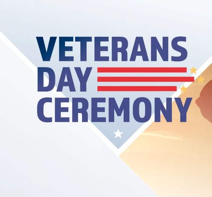 Veterans Day Ceremony graphic, saluting soldier silhouette at sunset.