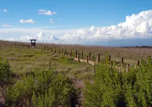 Dirt path through a grassy field under a blue sky with clouds, small wooden sign in distance.