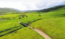 A dirt path winds through bright green hills to a small wooden bridge with two people walking.