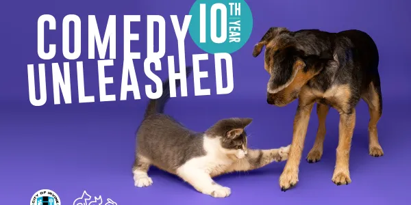 Graphic: Kitten bats at dog's paw. Text: Comedy Unleashed 10th Year.