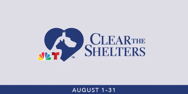 clear the shelters