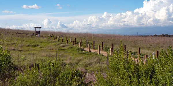 Dirt path through a grassy field under a blue sky with clouds, small wooden sign in distance.
