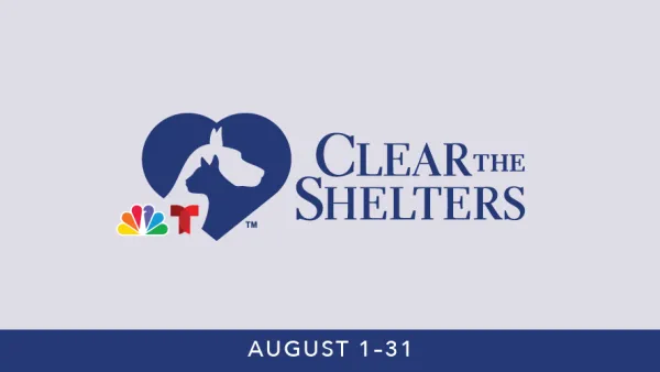 clear the shelters