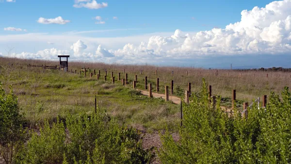 Dirt path through a grassy field under a blue sky with clouds, small wooden sign in distance.
