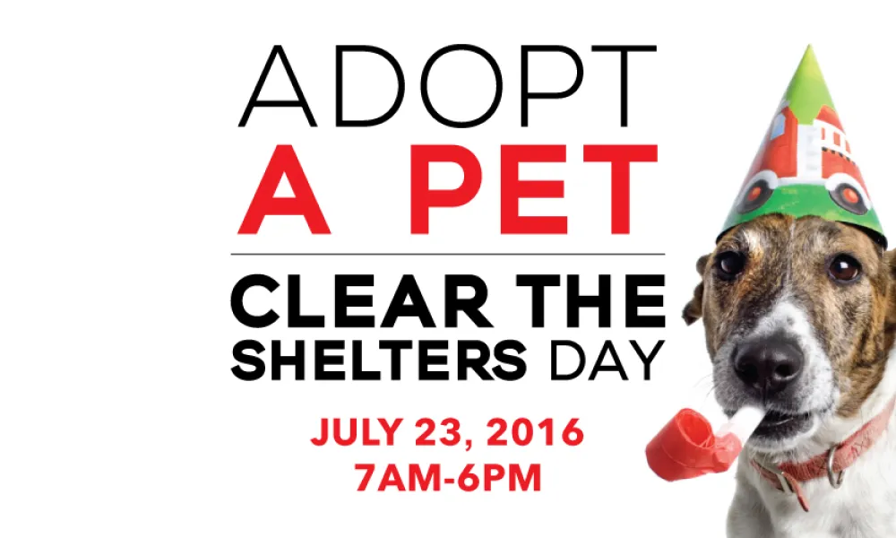 Clear the Shelters
