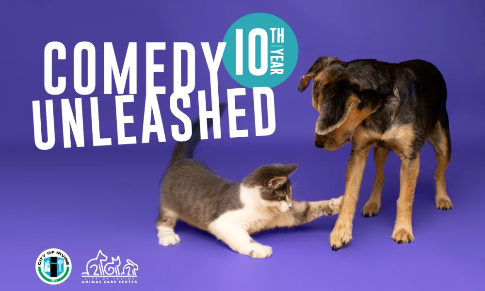 Comedy Unleashed 10th Year graphic with a playful kitten swatting at a dog.