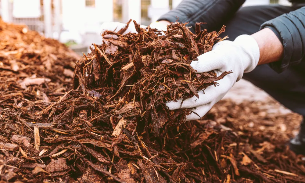 Hands picking up compost