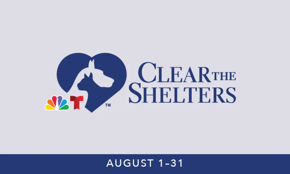 clear the shelters