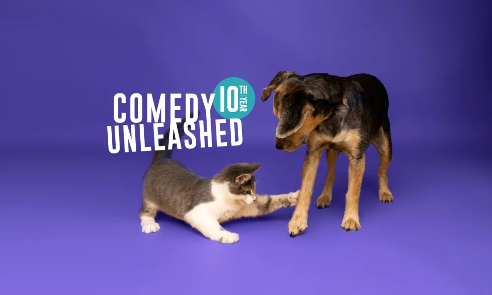 Kitten playfully swatting a dog's paw on a purple background.
