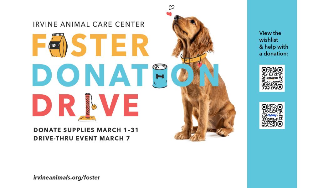 graphic with dog and foster donation drive text and details to donate