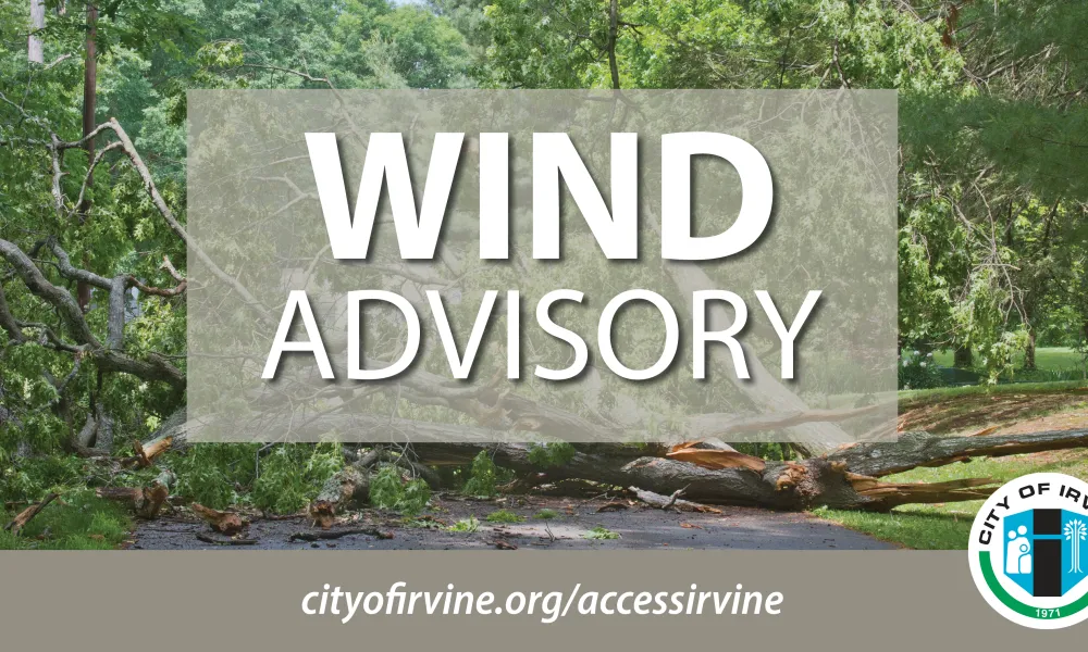 Tree on the ground with the words Wind Advisory over the image