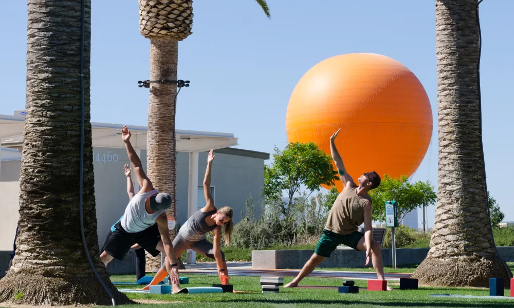Farmers Market Yoga