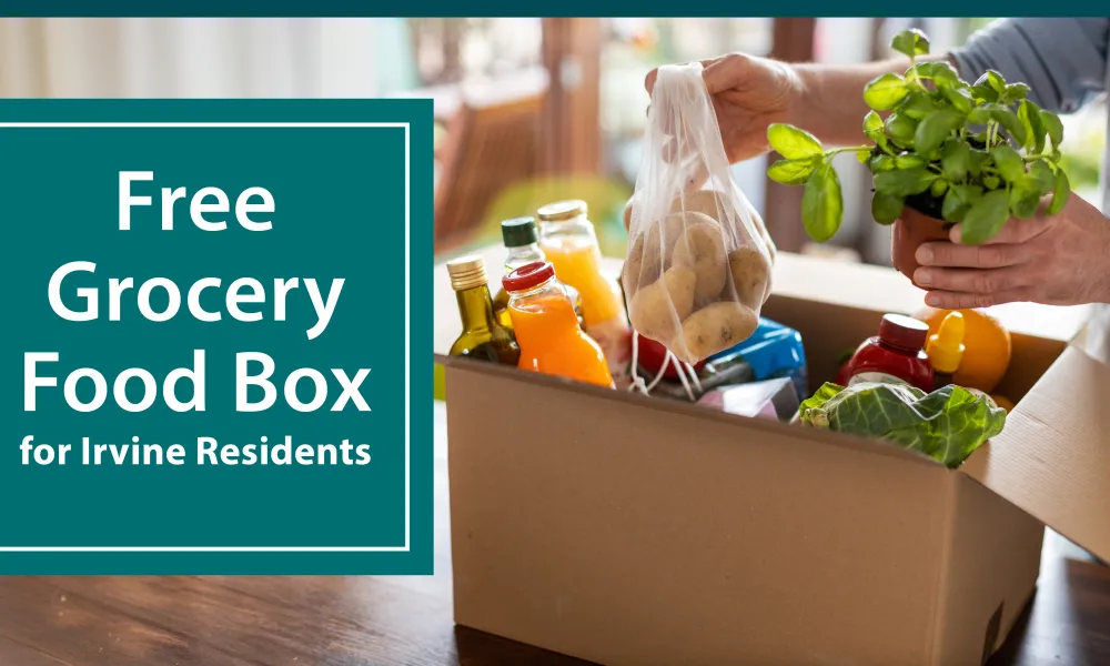 free grocery food box program