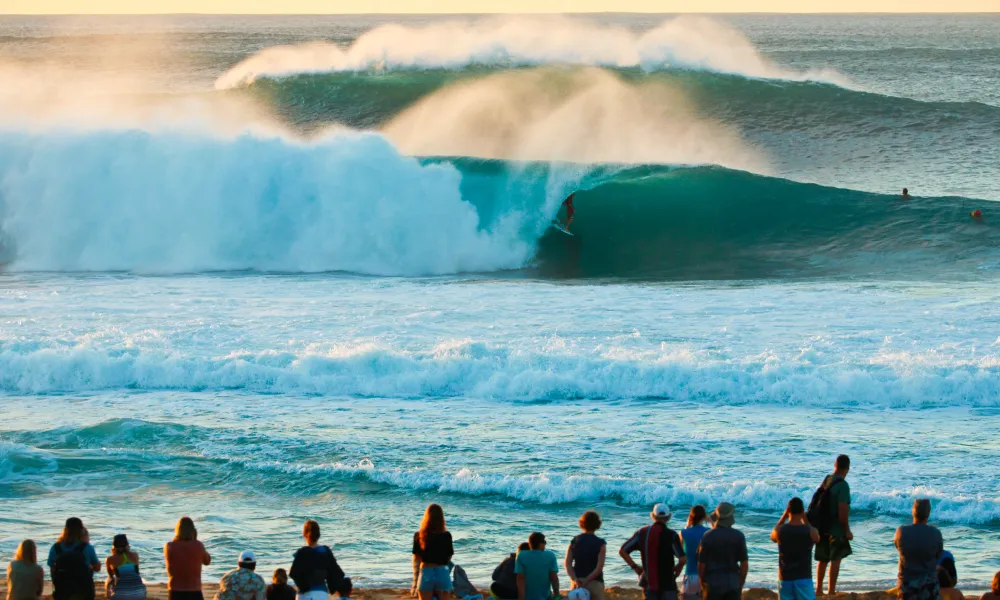 Surfing with Tom Carey Exhibition