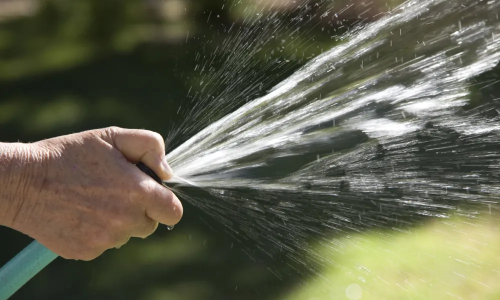 Drought Survival Expo – Learn, Explore, Act