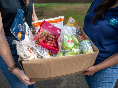 foodbox program