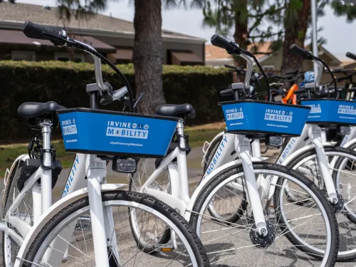 White bike-share bicycles with blue baskets parked in a row.