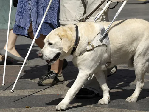 Americans with Disabilities Act