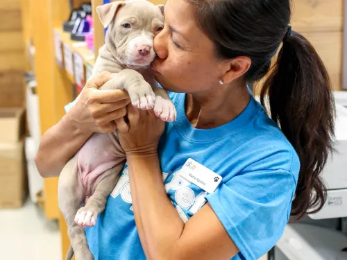 Woman holding and giving a puppy a kiss