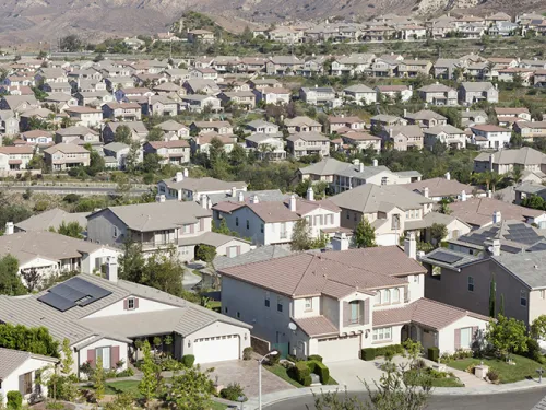 Neighborhood Services
