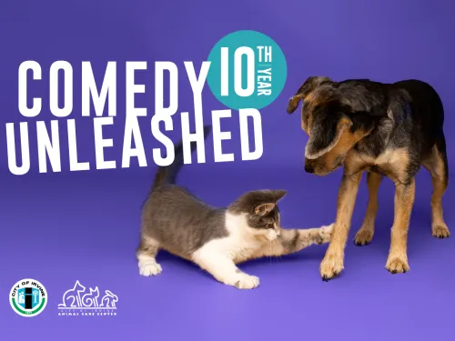 Comedy Unleashed 10th Year graphic with a playful kitten swatting at a dog.