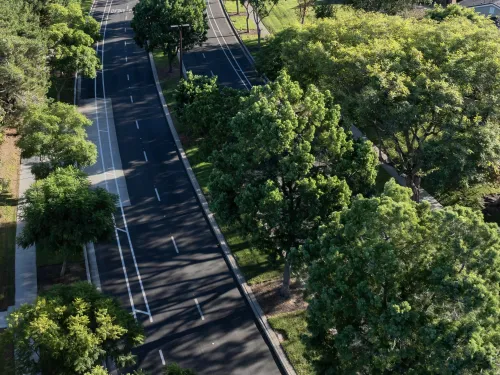 Aerial view of an empty road lined with lush green trees and sidewalks on a sunny day.